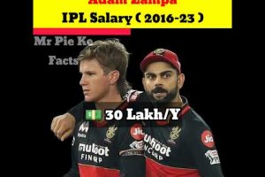 Adam Zampa Total IPL Salary ( 2016-23 ) 💵|| #shorts