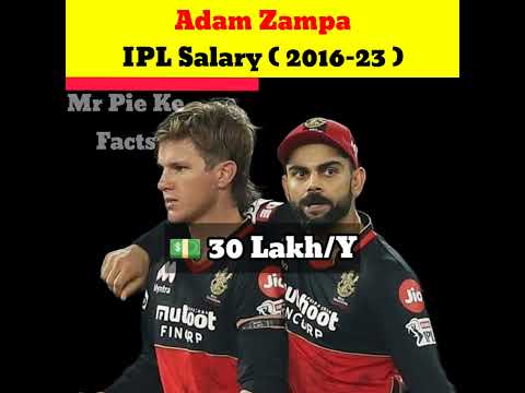 Adam Zampa Total IPL Salary ( 2016-23 ) 💵|| #shorts