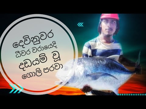 Goli Paraweku Dadayam Kirima – Hunting A Goli Parawa Fish At Asian Sea
