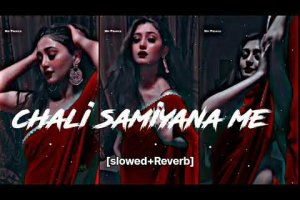 chali samiyana me Aaj tohare chalte goli BHOJPURI #lofisong [slowed+Reverb] trending song