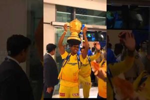 THE CHENNAI SUPER KINGS CELEBRATE THEIR IPL 2023 WIN! #ipl #cricket #csk  #chennaisuperkings