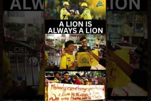 “Win or Lose a Lion is always a lion” | CSK  vs KKR Public Review #csk #cskvskkr